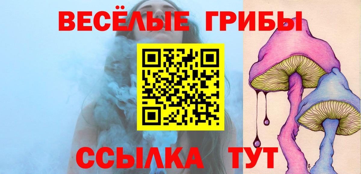 Галлюциногенные грибы MAGIC MUSHROOMS  где купить наркоту  Биробиджан  Вход с VPN 