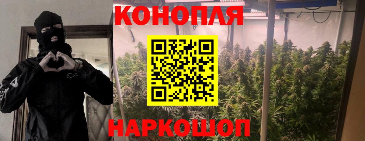 Марихуана конопля Биробиджан